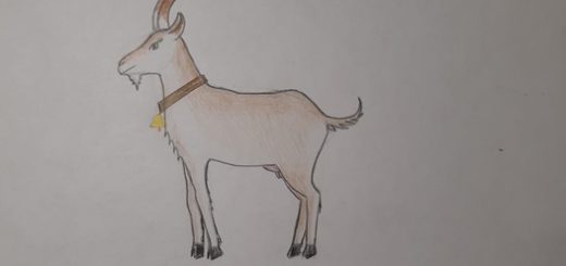 Как нарисовать козу карандашом поэтапно для детей