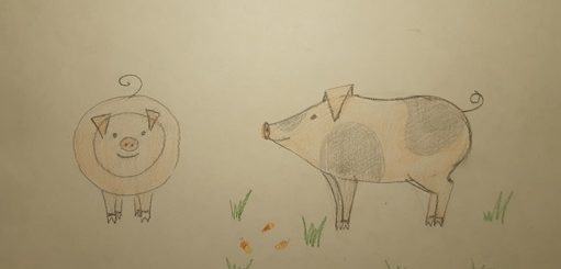 Как нарисовать свинью карандашом поэтапно для детей