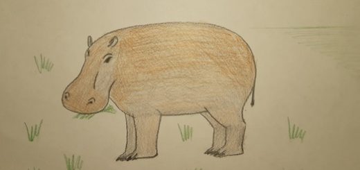 Как нарисовать бегемота карандашом поэтапно для детей