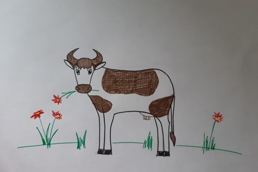 корова карандашом поэтапно