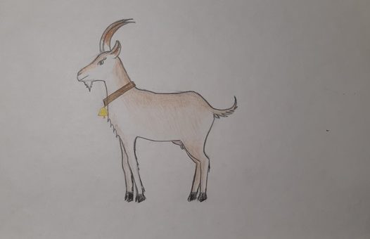 Как нарисовать козу карандашом поэтапно для детей