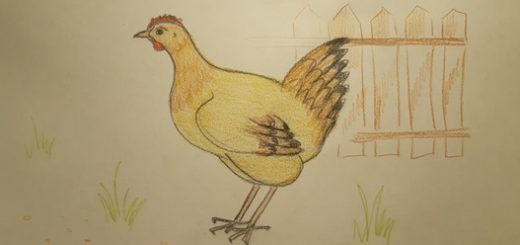 Как нарисовать курицу карандашом поэтапно для детей
